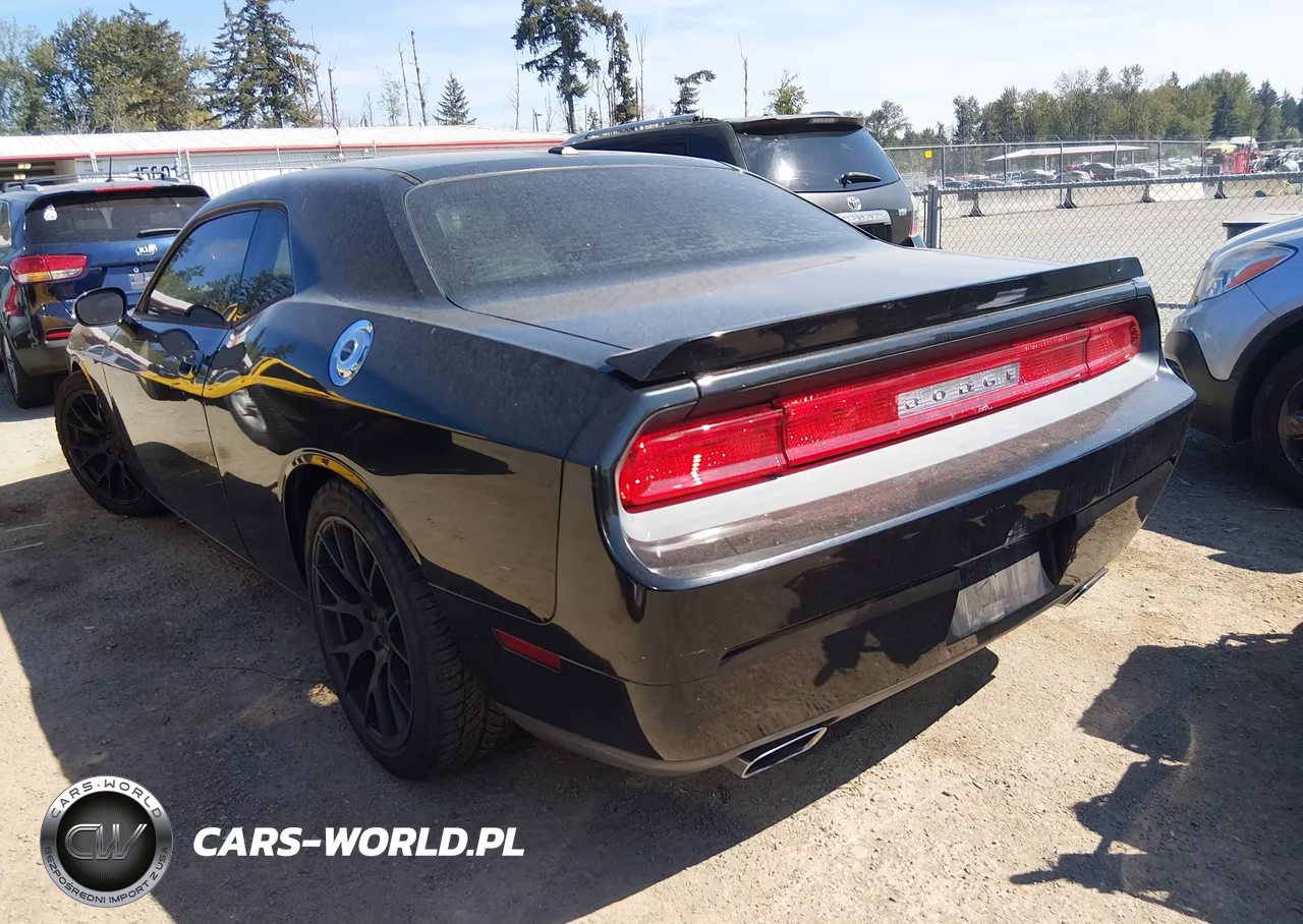 2009 Dodge Challenger R-T VIN:2B3LJ54T69H547120 - 3