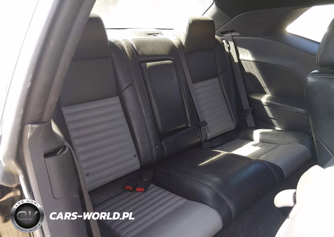 2009 Dodge Challenger R-T VIN:2B3LJ54T69H547120 - 8