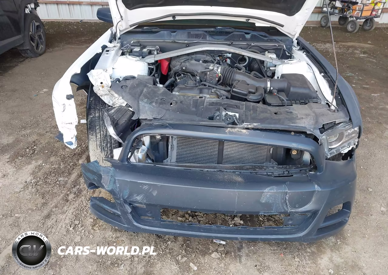 2013 Ford Mustang V6 VIN:1ZVBP8EMXD5221979 - 10