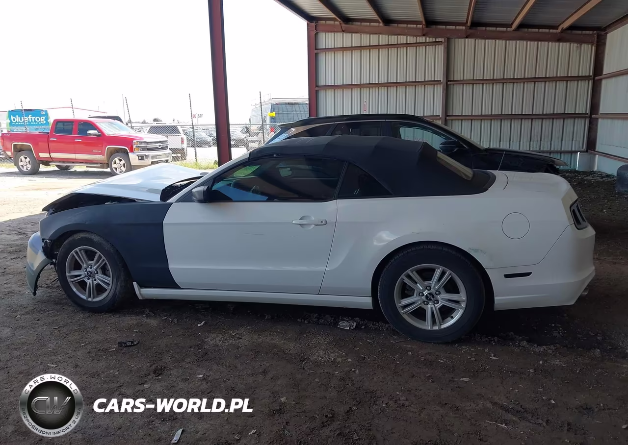 2013 Ford Mustang V6 VIN:1ZVBP8EMXD5221979 - 15