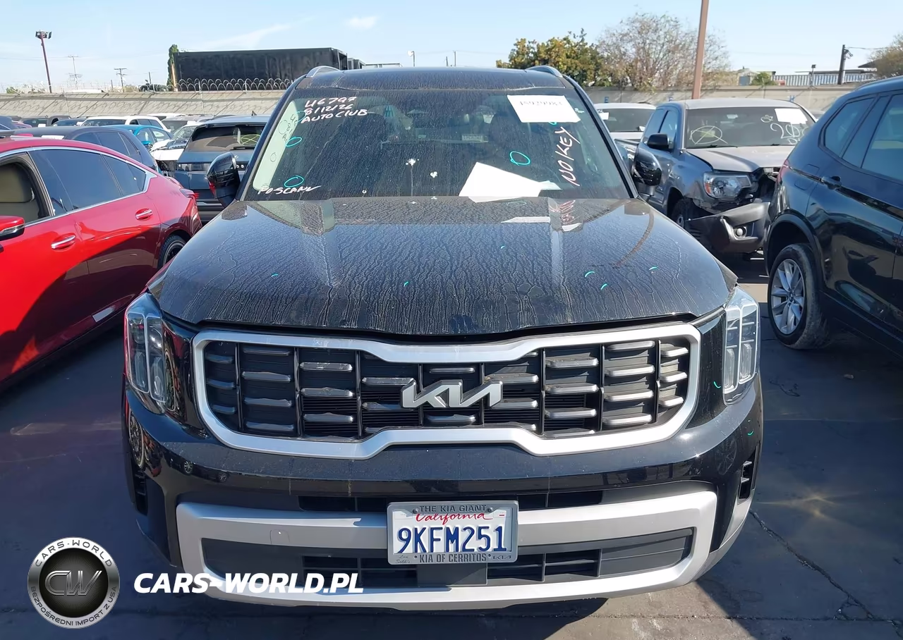 2024 Kia Telluride S VIN:5XYP6DGC9RG463055 - 12