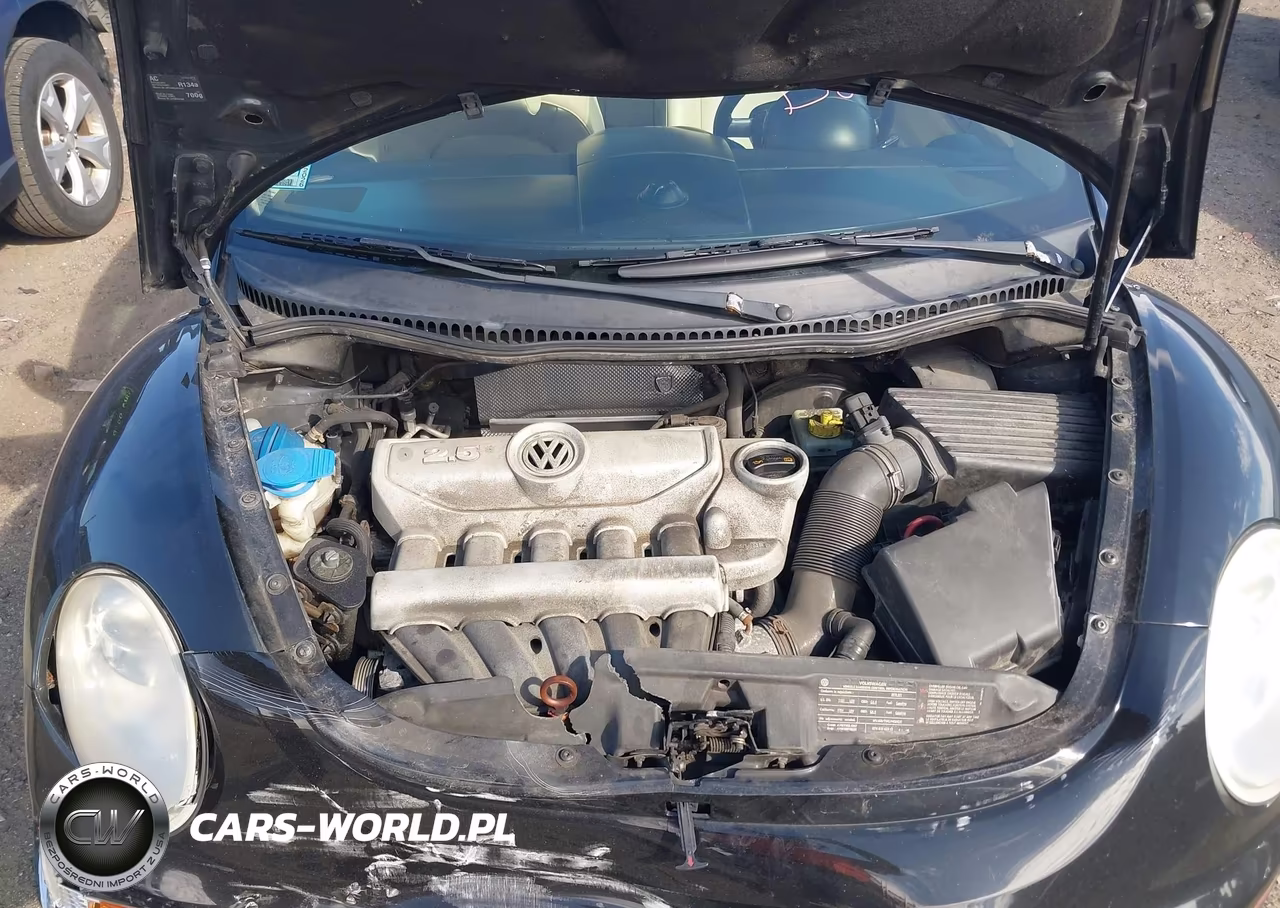 2010 Volkswagen New Beetle 2.5L-2.5L Final Edition VIN:3VWRG3AL5AM002187 - 10