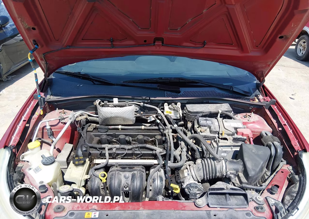 2009 Ford Focus Ses VIN:1FAHP36N39W116649 - 8