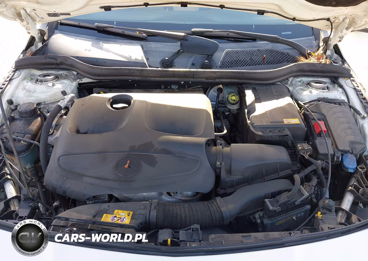 2014 Mercedes-Benz Cla 250 VIN:WDDSJ4EB2EN082465 - 10