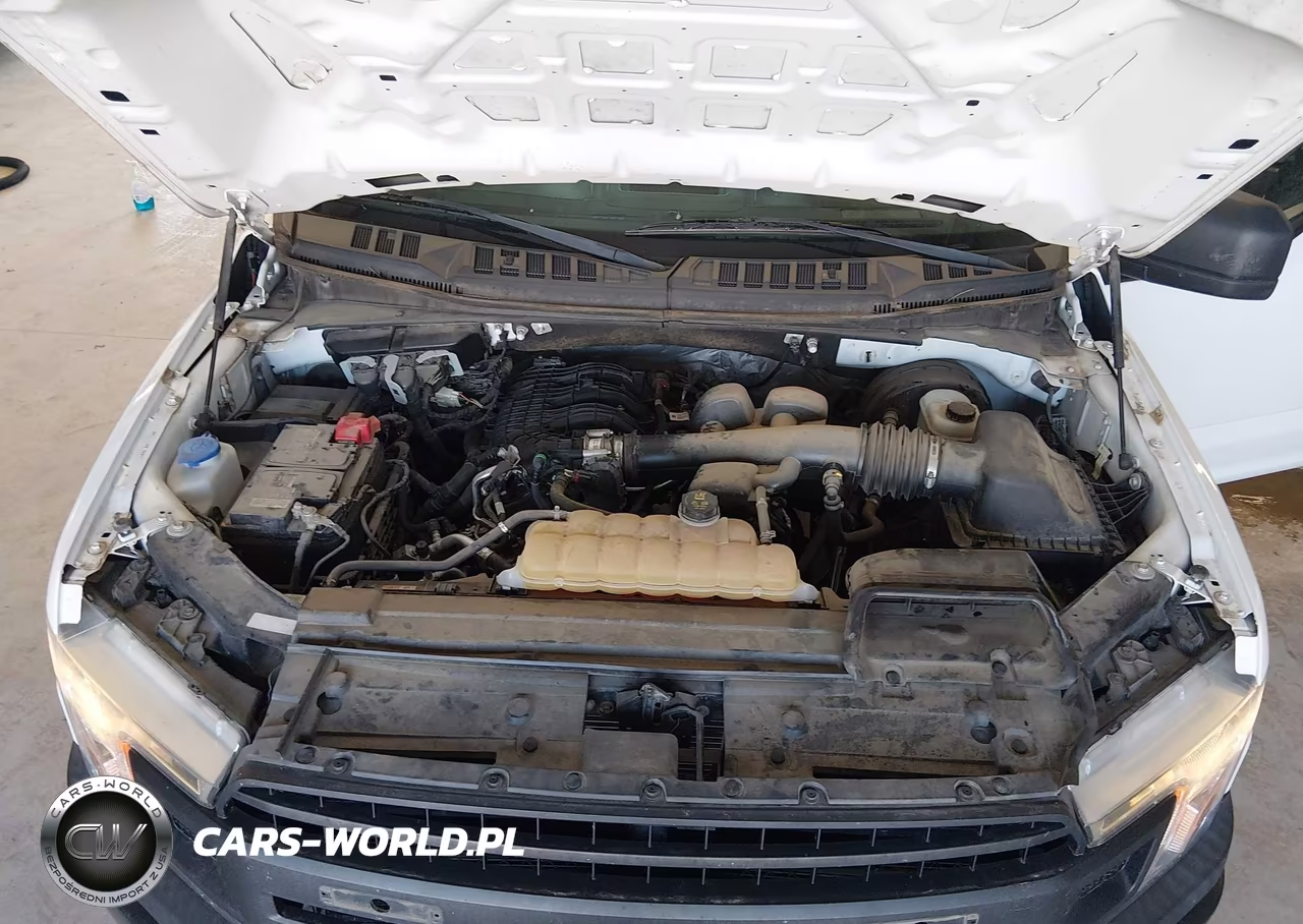 2020 Ford F-150 Xl VIN:1FTEX1CB0LKE46128 - 10