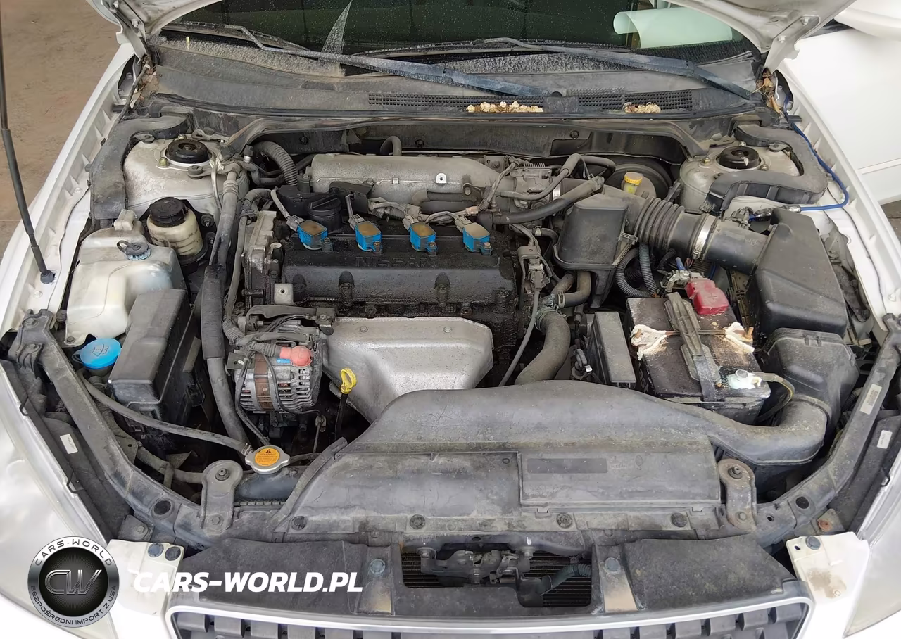 2006 Nissan Altima 2.5 S VIN:1N4AL11D06N429546 - 10