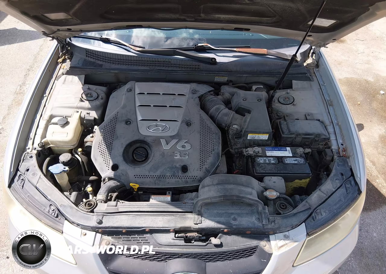 2007 Hyundai Sonata Limited-Limited W-Xm-Se-Se W-Xm VIN:5NPEU46F17H216885 - 10