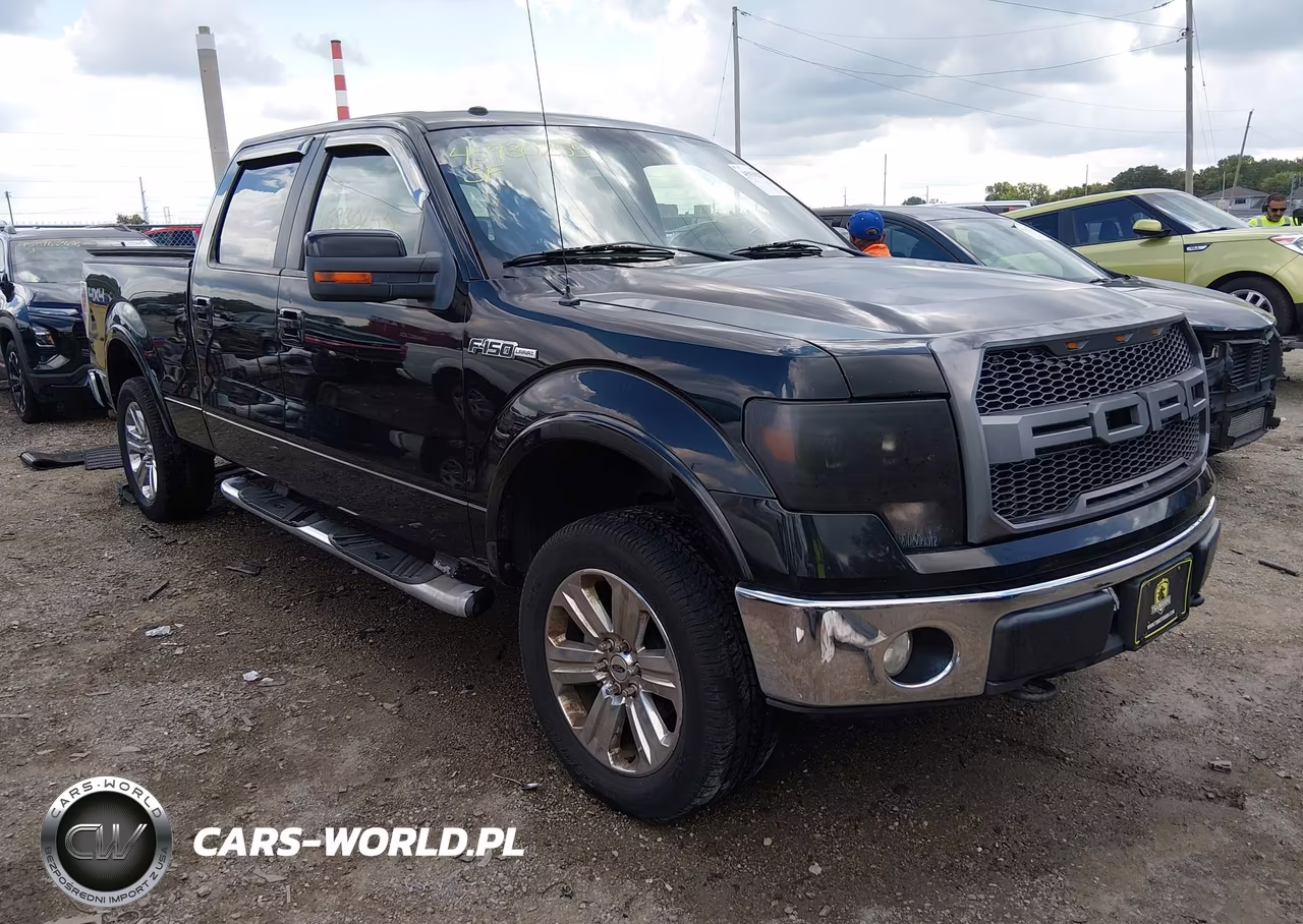 2009 Ford F-150 Fx4-King Ranch-Lariat-Platinum-Xl-Xlt