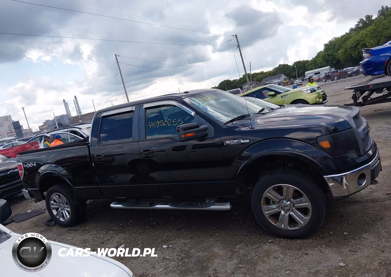 2009 Ford F-150 Fx4-King Ranch-Lariat-Platinum-Xl-Xlt VIN:1FTPW14V29FB23706 - 13