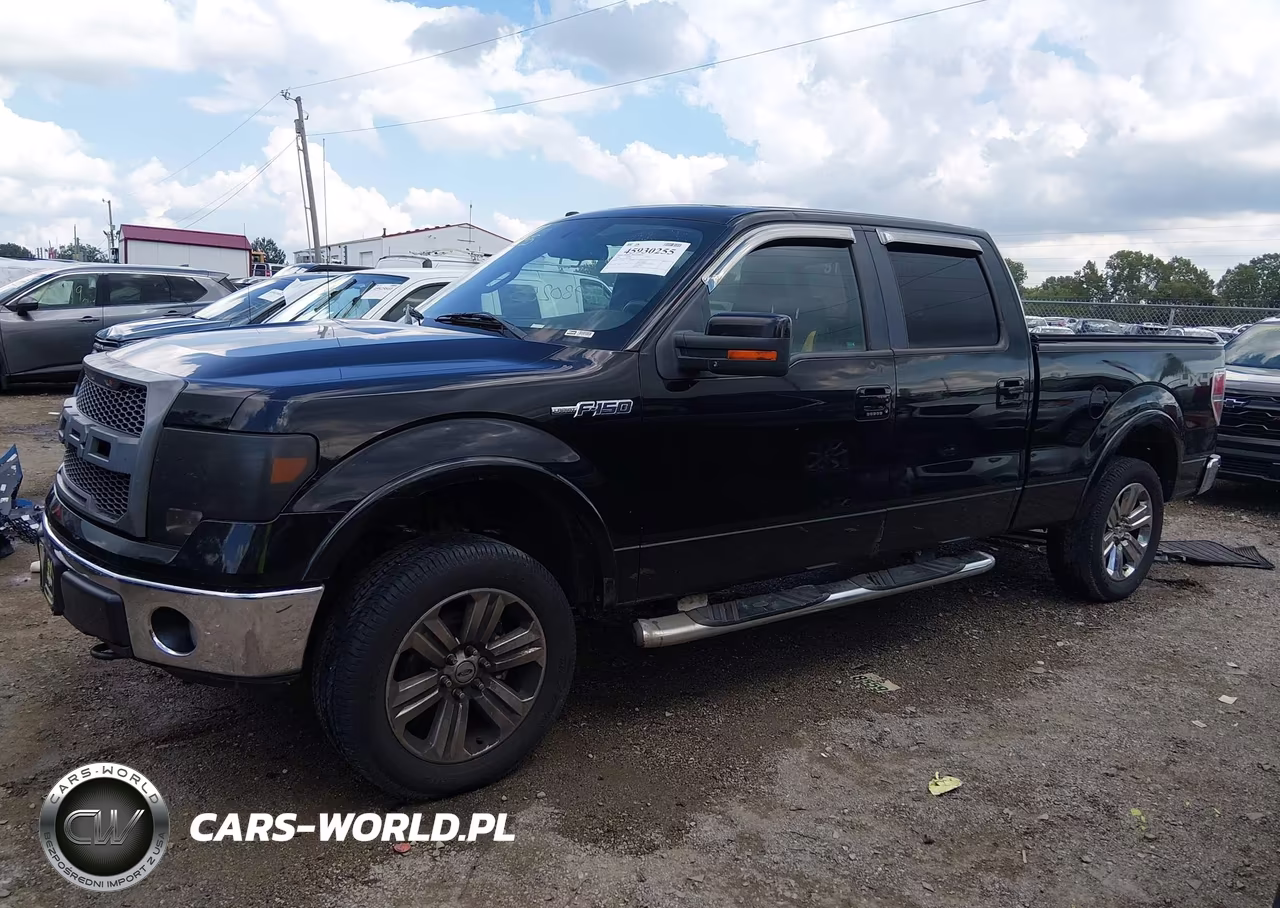 2009 Ford F-150 Fx4-King Ranch-Lariat-Platinum-Xl-Xlt VIN:1FTPW14V29FB23706 - 14