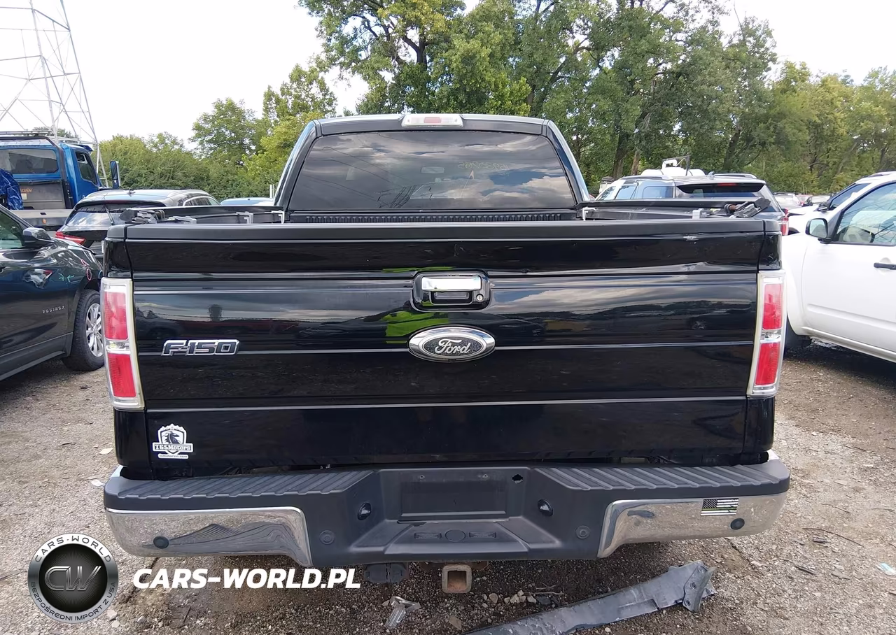 2009 Ford F-150 Fx4-King Ranch-Lariat-Platinum-Xl-Xlt VIN:1FTPW14V29FB23706 - 16