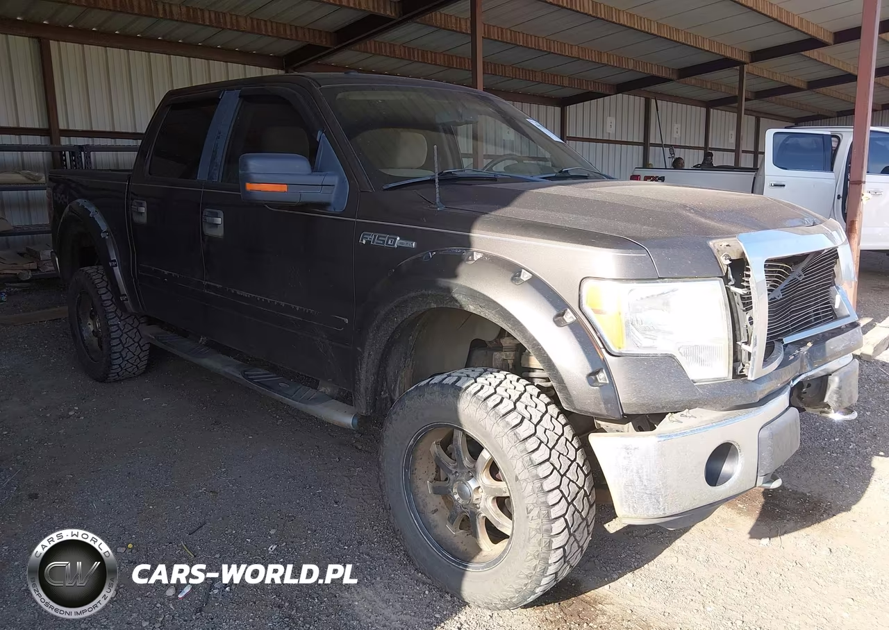 2009 Ford F-150 Fx4-King Ranch-Lariat-Platinum-Xl-Xlt VIN:1FTPW14VX9KC36133 - 1