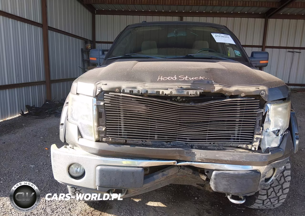 2009 Ford F-150 Fx4-King Ranch-Lariat-Platinum-Xl-Xlt VIN:1FTPW14VX9KC36133 - 10
