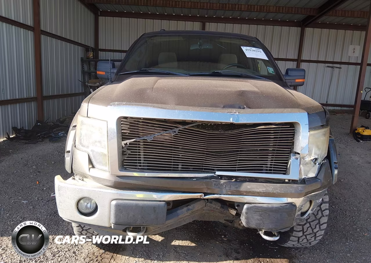 2009 Ford F-150 Fx4-King Ranch-Lariat-Platinum-Xl-Xlt VIN:1FTPW14VX9KC36133 - 13