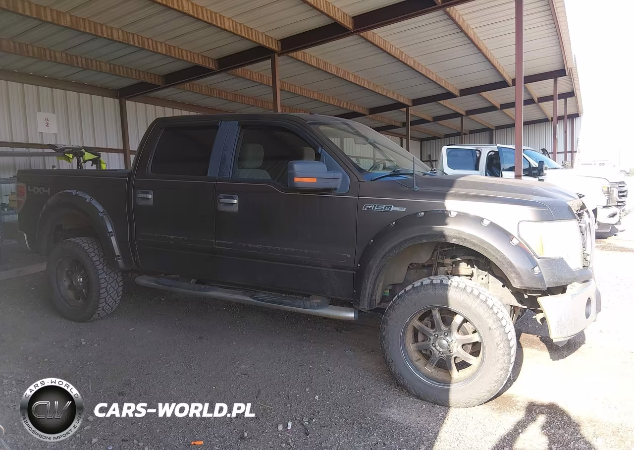 2009 Ford F-150 Fx4-King Ranch-Lariat-Platinum-Xl-Xlt VIN:1FTPW14VX9KC36133 - 14