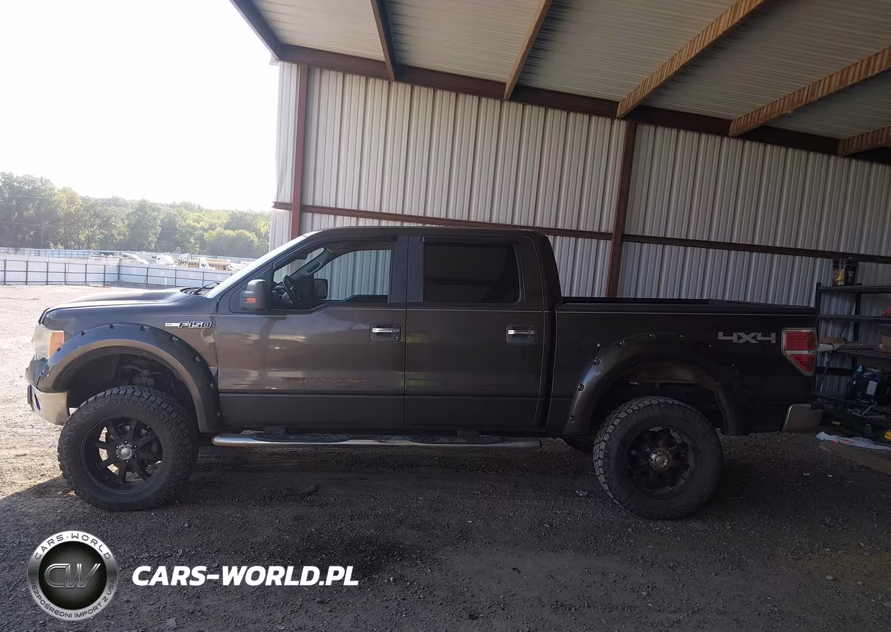 2009 Ford F-150 Fx4-King Ranch-Lariat-Platinum-Xl-Xlt VIN:1FTPW14VX9KC36133 - 15