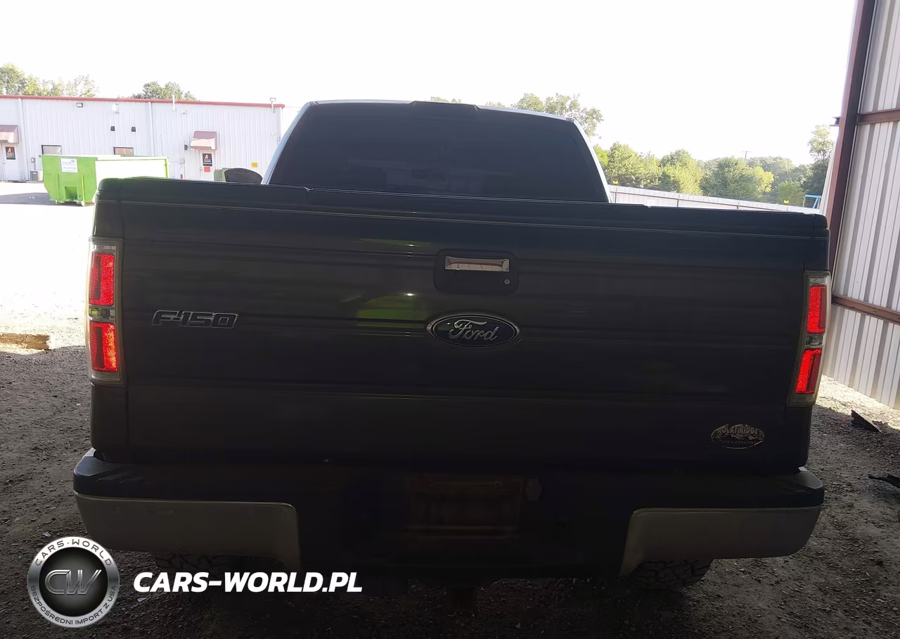 2009 Ford F-150 Fx4-King Ranch-Lariat-Platinum-Xl-Xlt VIN:1FTPW14VX9KC36133 - 17