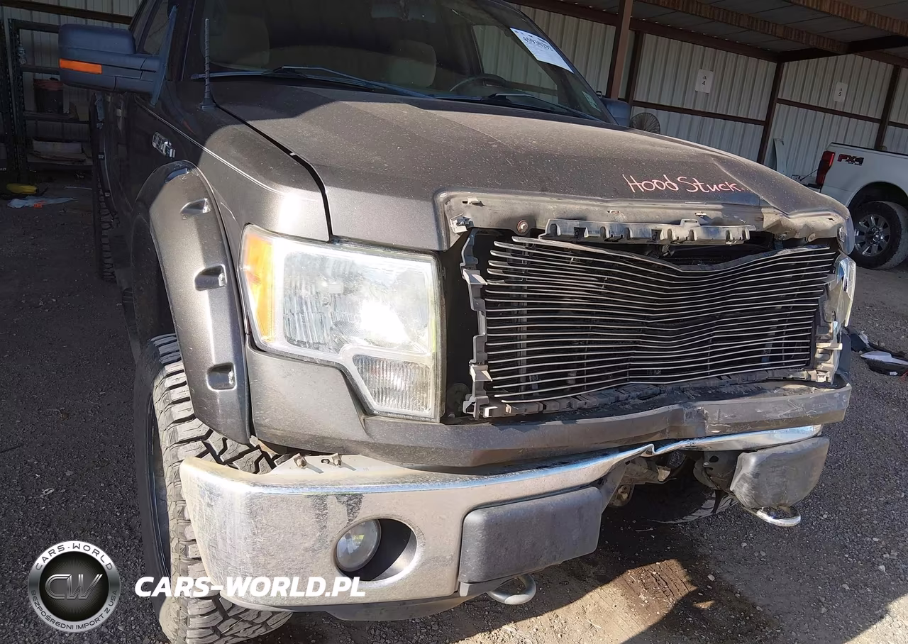 2009 Ford F-150 Fx4-King Ranch-Lariat-Platinum-Xl-Xlt VIN:1FTPW14VX9KC36133 - 18