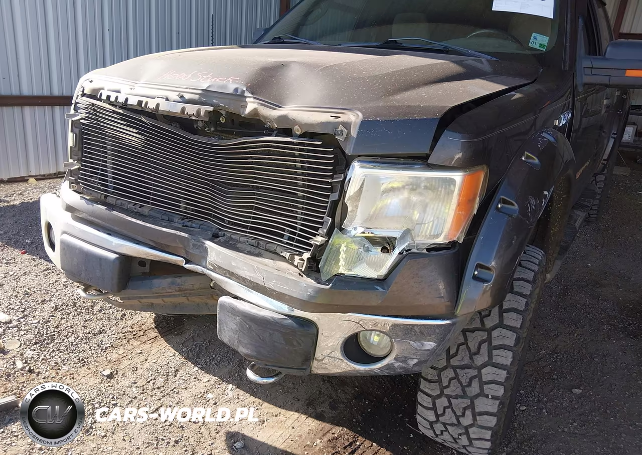 2009 Ford F-150 Fx4-King Ranch-Lariat-Platinum-Xl-Xlt VIN:1FTPW14VX9KC36133 - 19