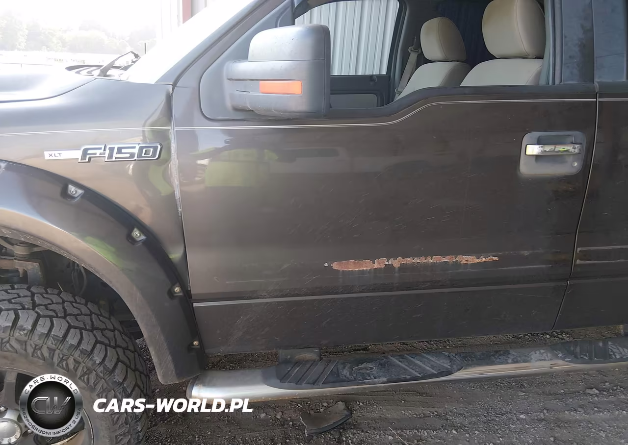 2009 Ford F-150 Fx4-King Ranch-Lariat-Platinum-Xl-Xlt VIN:1FTPW14VX9KC36133 - 22