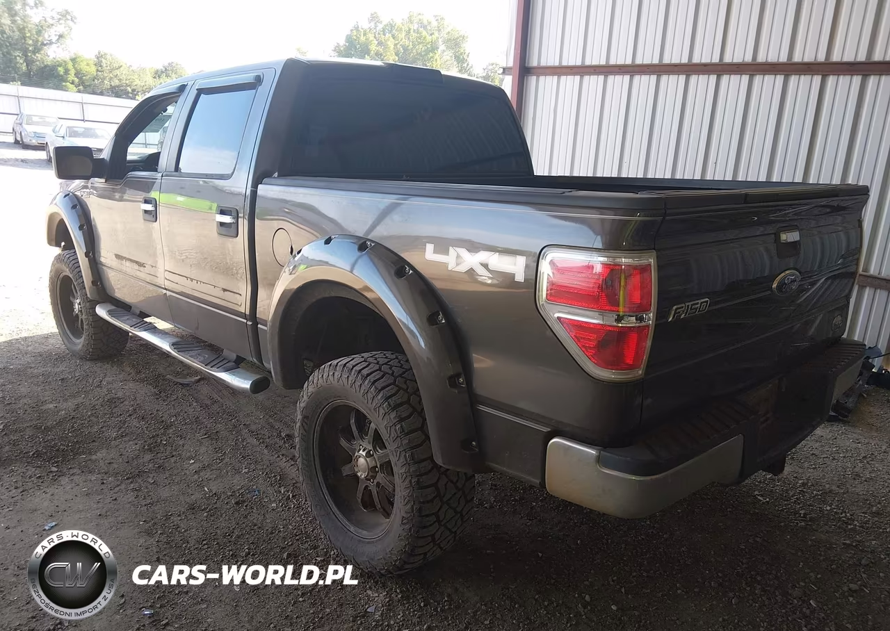 2009 Ford F-150 Fx4-King Ranch-Lariat-Platinum-Xl-Xlt VIN:1FTPW14VX9KC36133 - 3