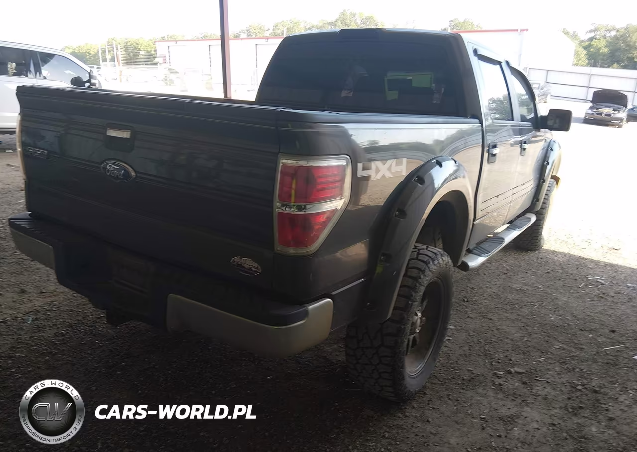2009 Ford F-150 Fx4-King Ranch-Lariat-Platinum-Xl-Xlt VIN:1FTPW14VX9KC36133 - 4