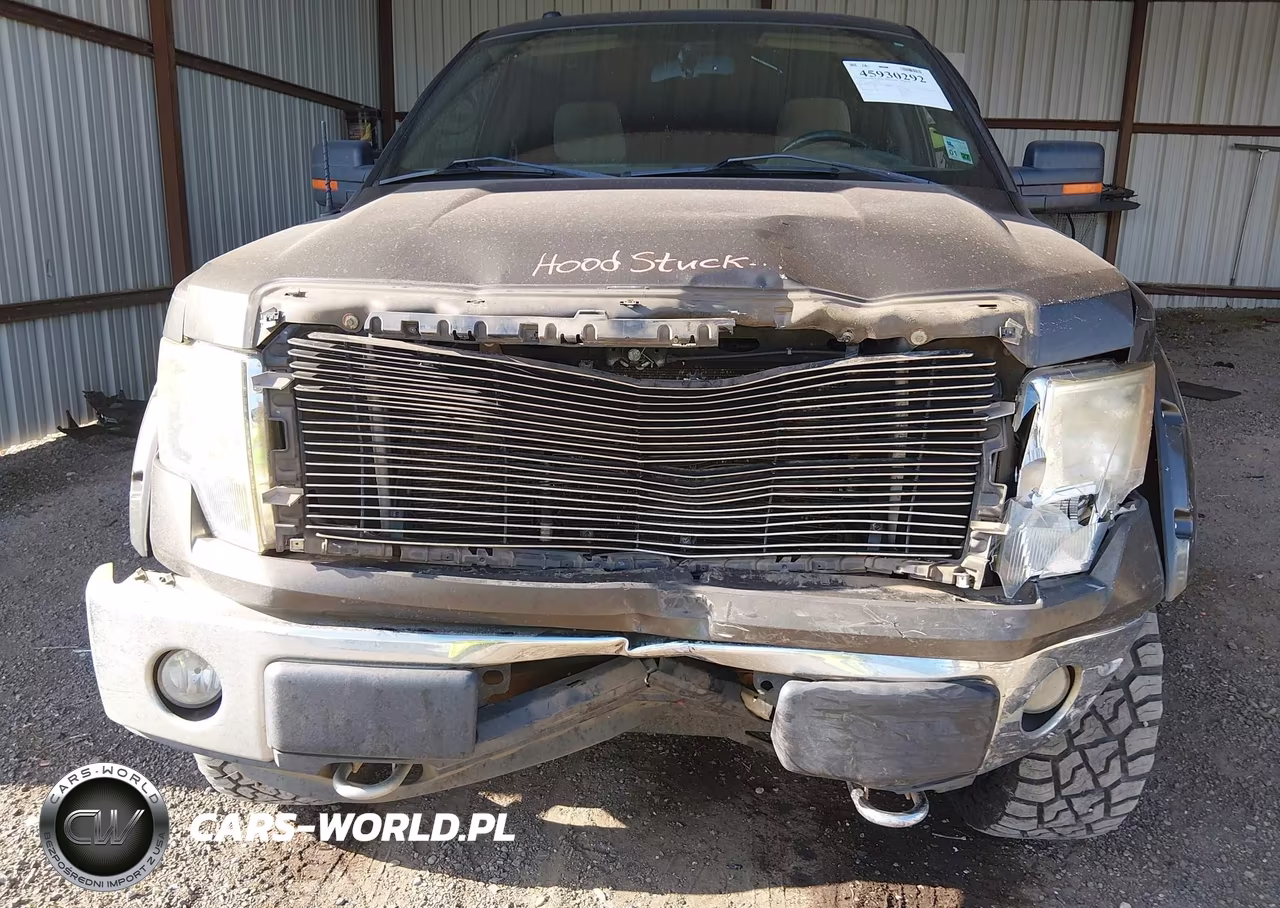 2009 Ford F-150 Fx4-King Ranch-Lariat-Platinum-Xl-Xlt VIN:1FTPW14VX9KC36133 - 6