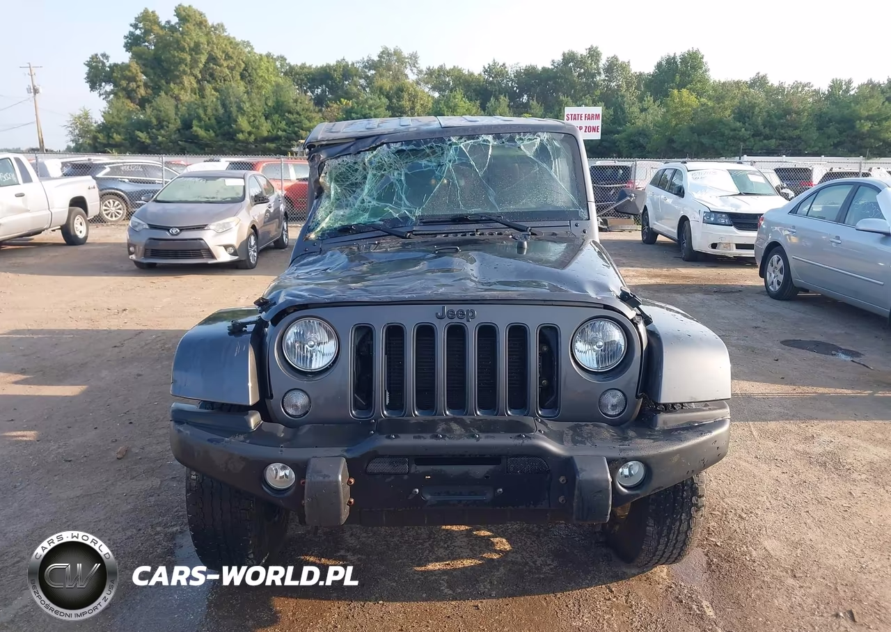 2018 Jeep Wrangler Jk Unlimited Freedom Edition 4X4 VIN:1C4BJWDG7JL844049 - 13