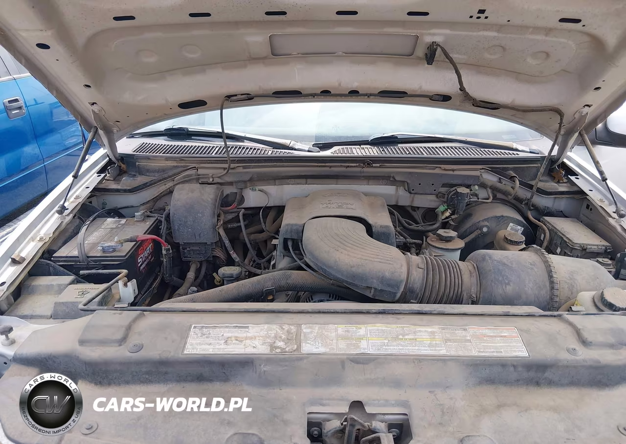 1999 Ford F-150 Lariat-Work Series-Xl-Xlt VIN:1FTRX17W6XKA12073 - 10