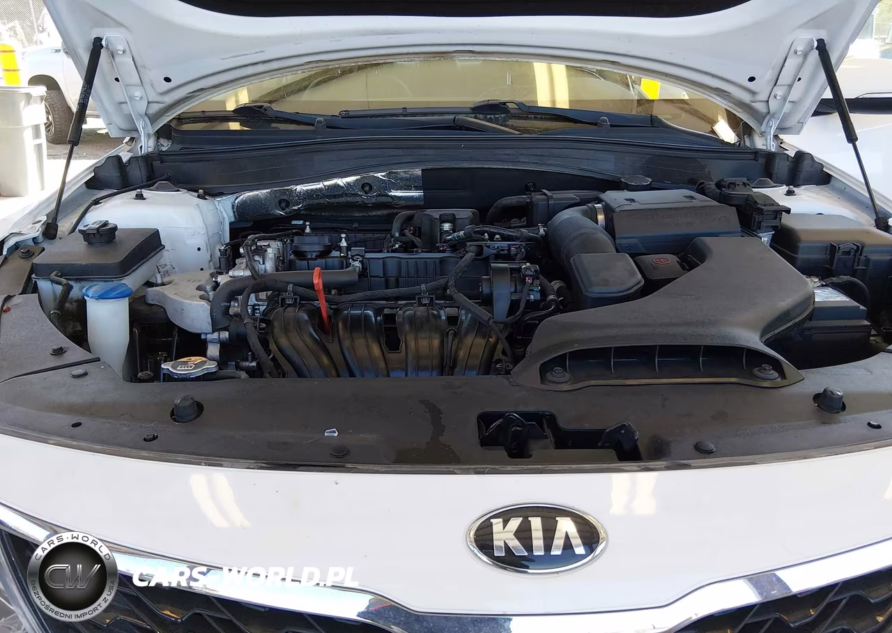 2019 Kia Optima S VIN:5XXGT4L37KG366350 - 10