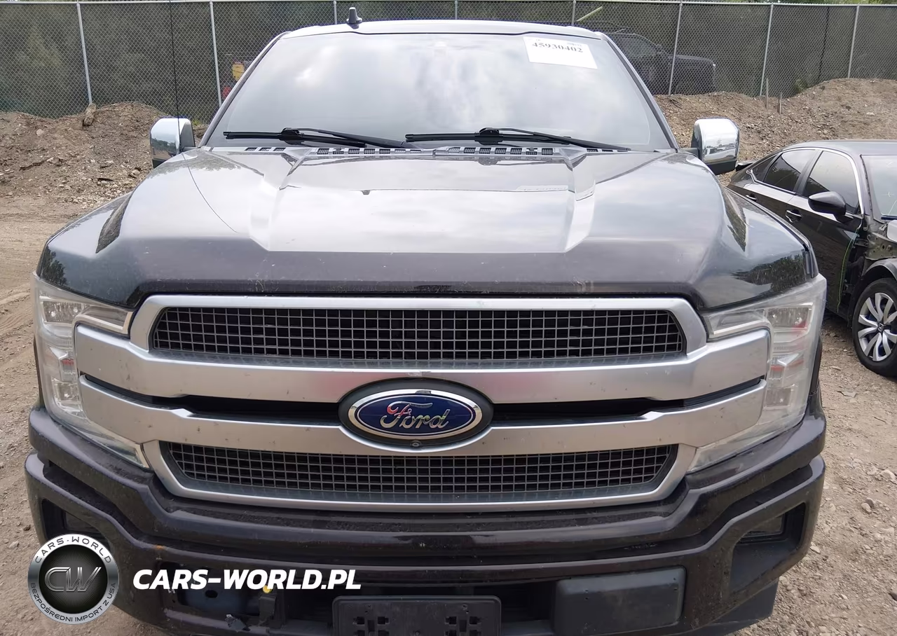 2018 Ford F-150 Platinum VIN:1FTFW1E15JFD60427 - 12