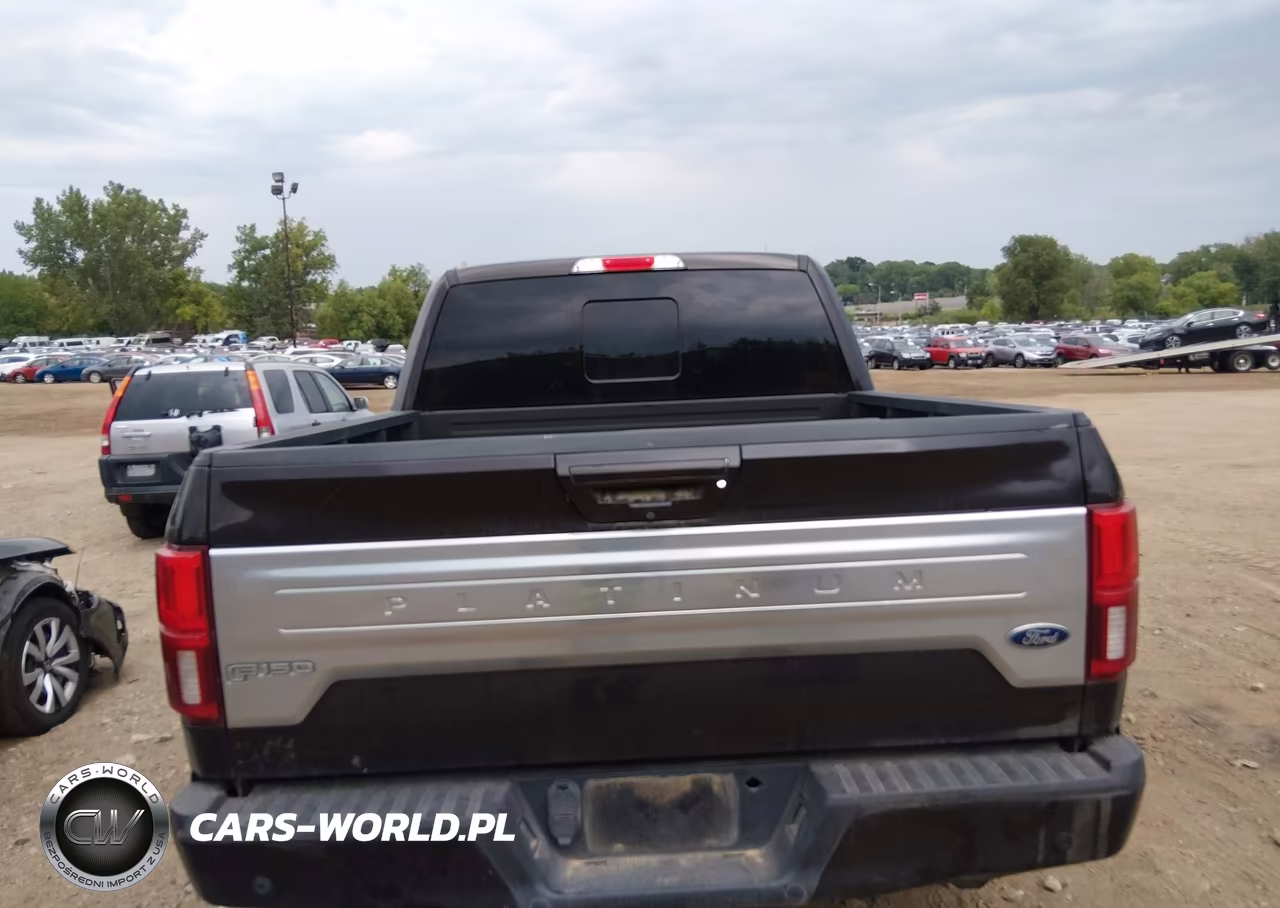2018 Ford F-150 Platinum VIN:1FTFW1E15JFD60427 - 16