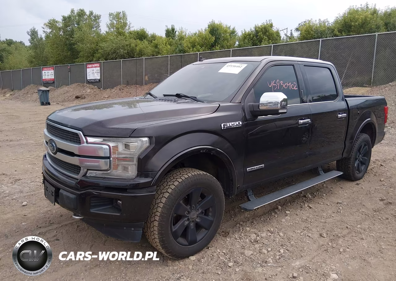 2018 Ford F-150 Platinum VIN:1FTFW1E15JFD60427 - 2