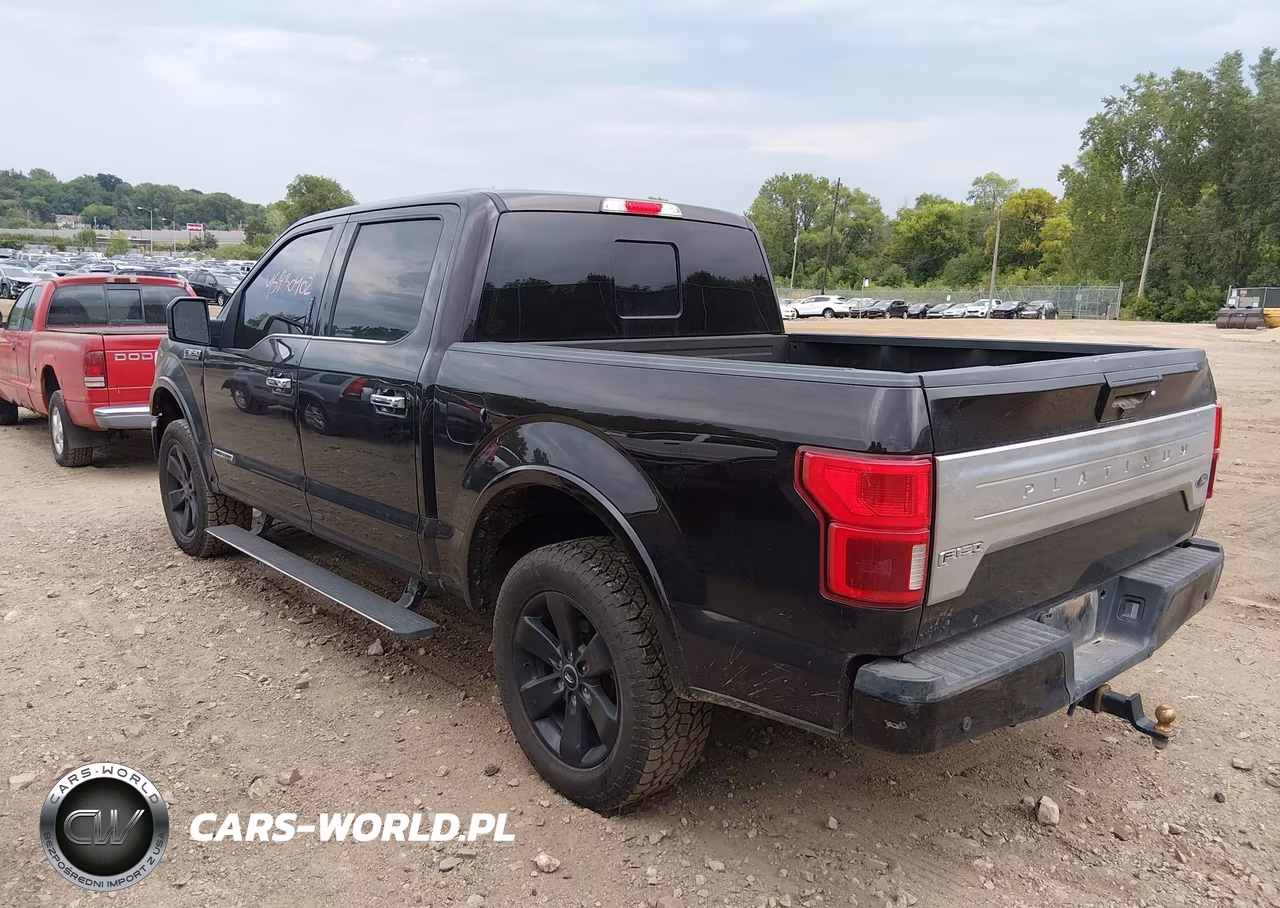 2018 Ford F-150 Platinum VIN:1FTFW1E15JFD60427 - 3