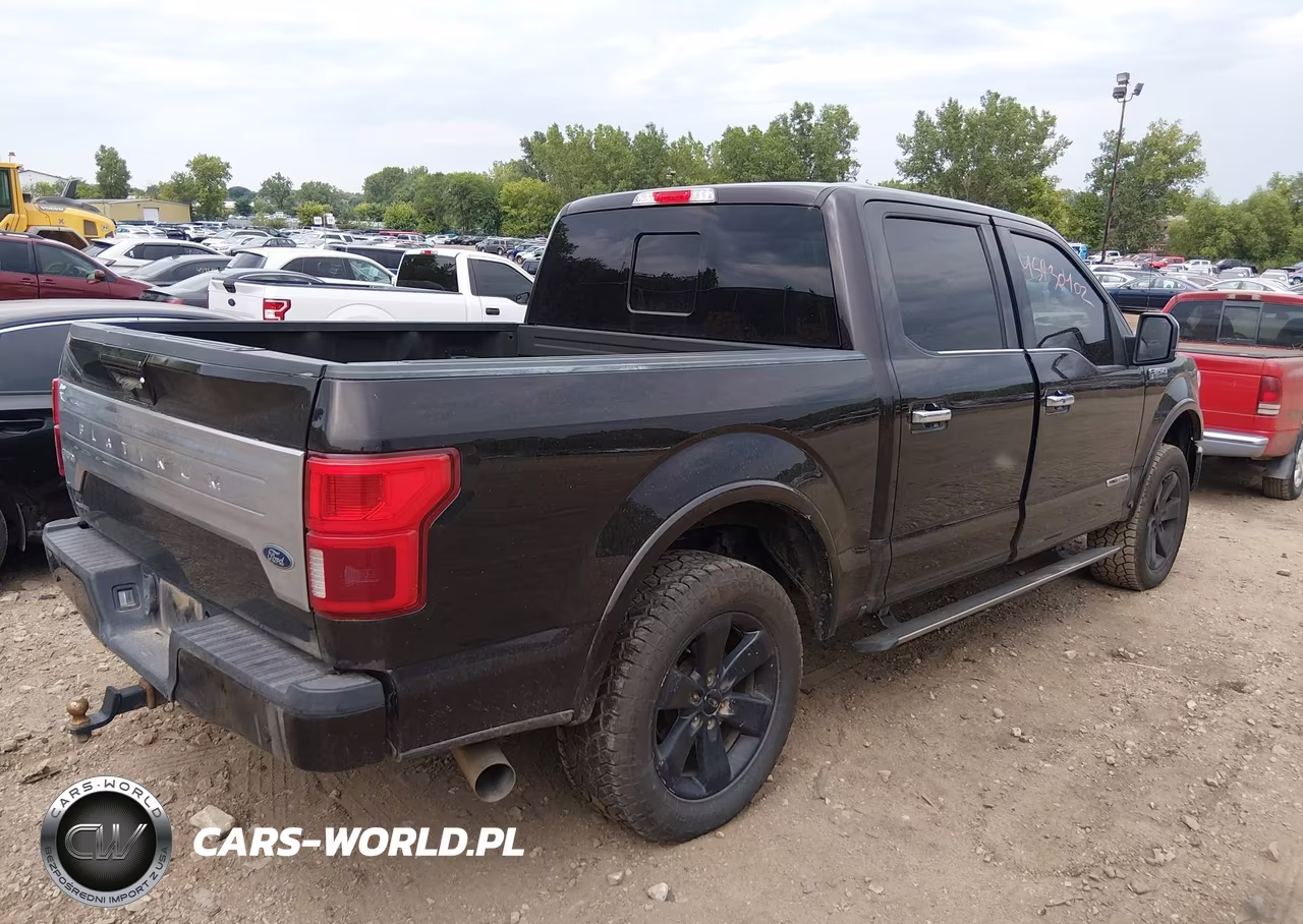 2018 Ford F-150 Platinum VIN:1FTFW1E15JFD60427 - 4