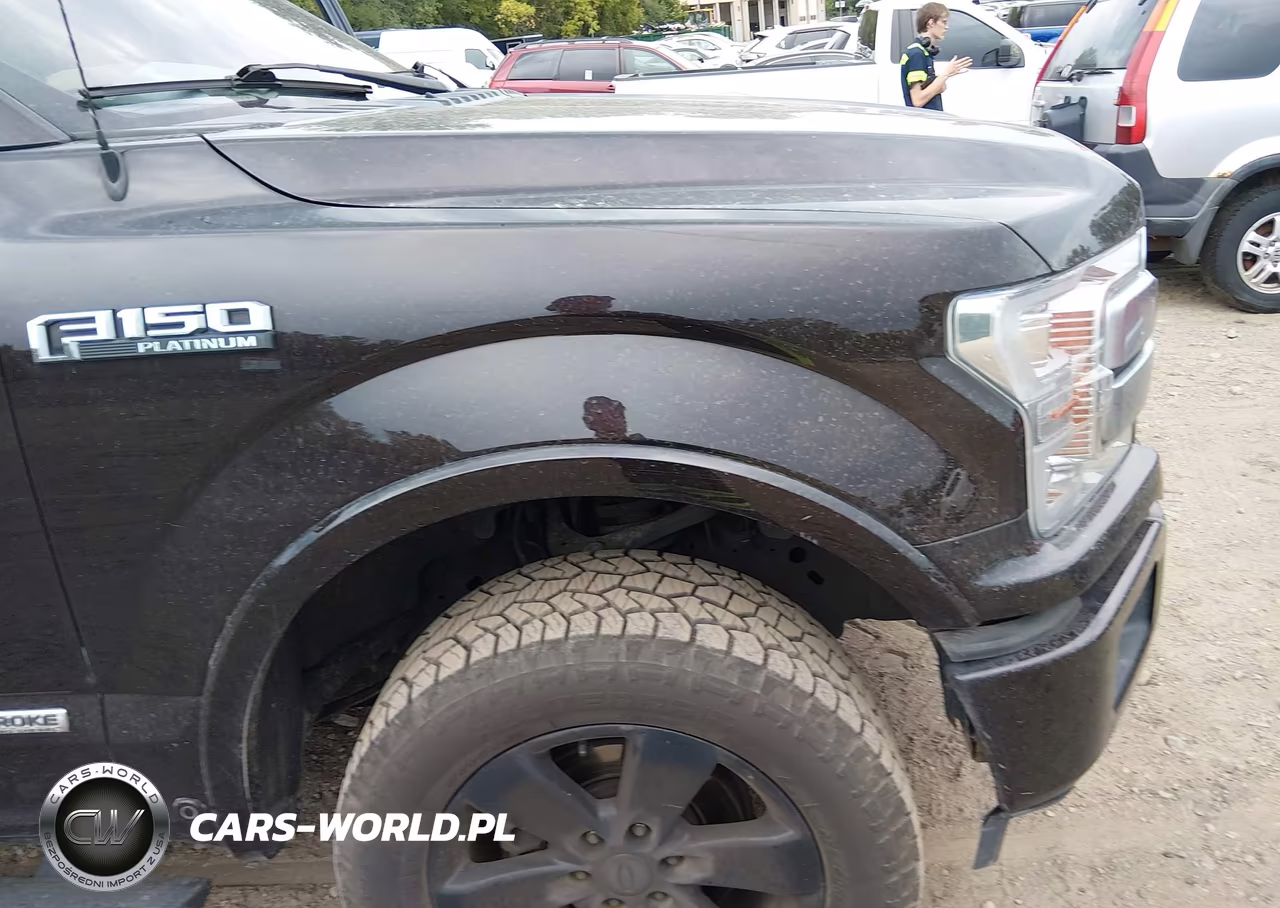 2018 Ford F-150 Platinum VIN:1FTFW1E15JFD60427 - 6