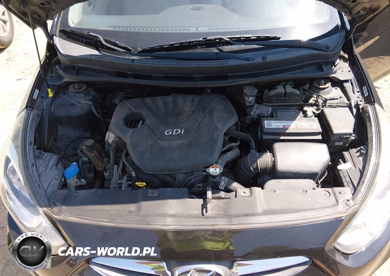 2014 Hyundai Accent Gs VIN:KMHCT5AE2EU193811 - 10