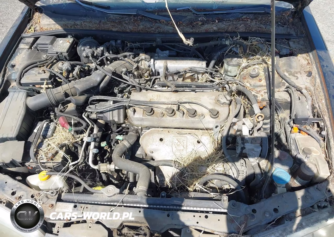 1996 Honda Accord Ex-Ex-R VIN:1HGCD5658TA134739 - 14