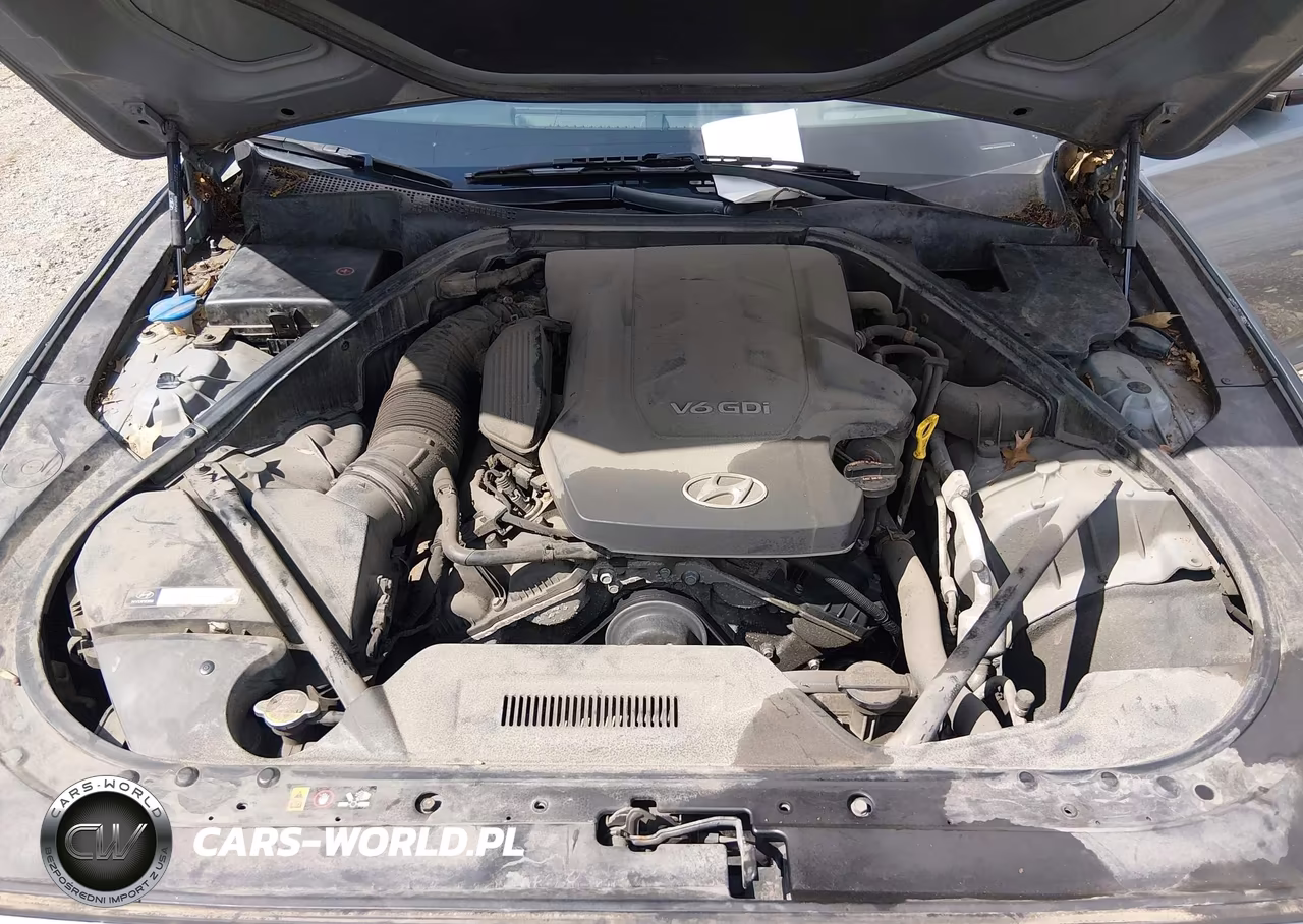 2016 Hyundai Genesis 3.8 VIN:KMHGN4JE0GU127718 - 10