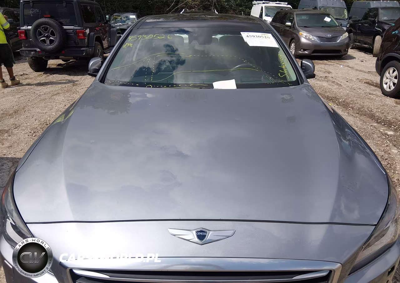 2016 Hyundai Genesis 3.8 VIN:KMHGN4JE0GU127718 - 6