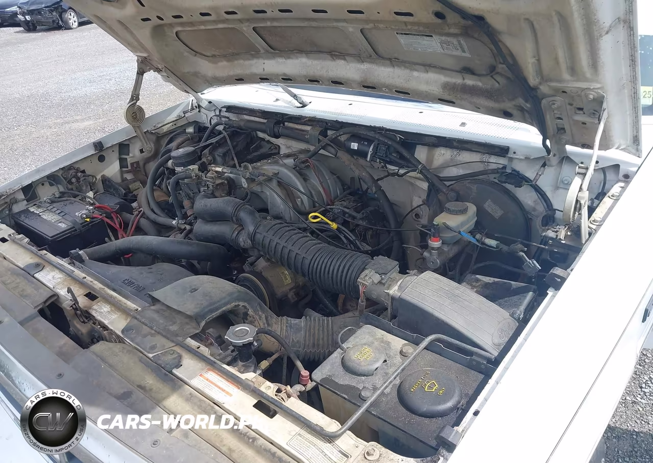 1994 Ford F150 VIN:1FTEF14N3RNA73296 - 10