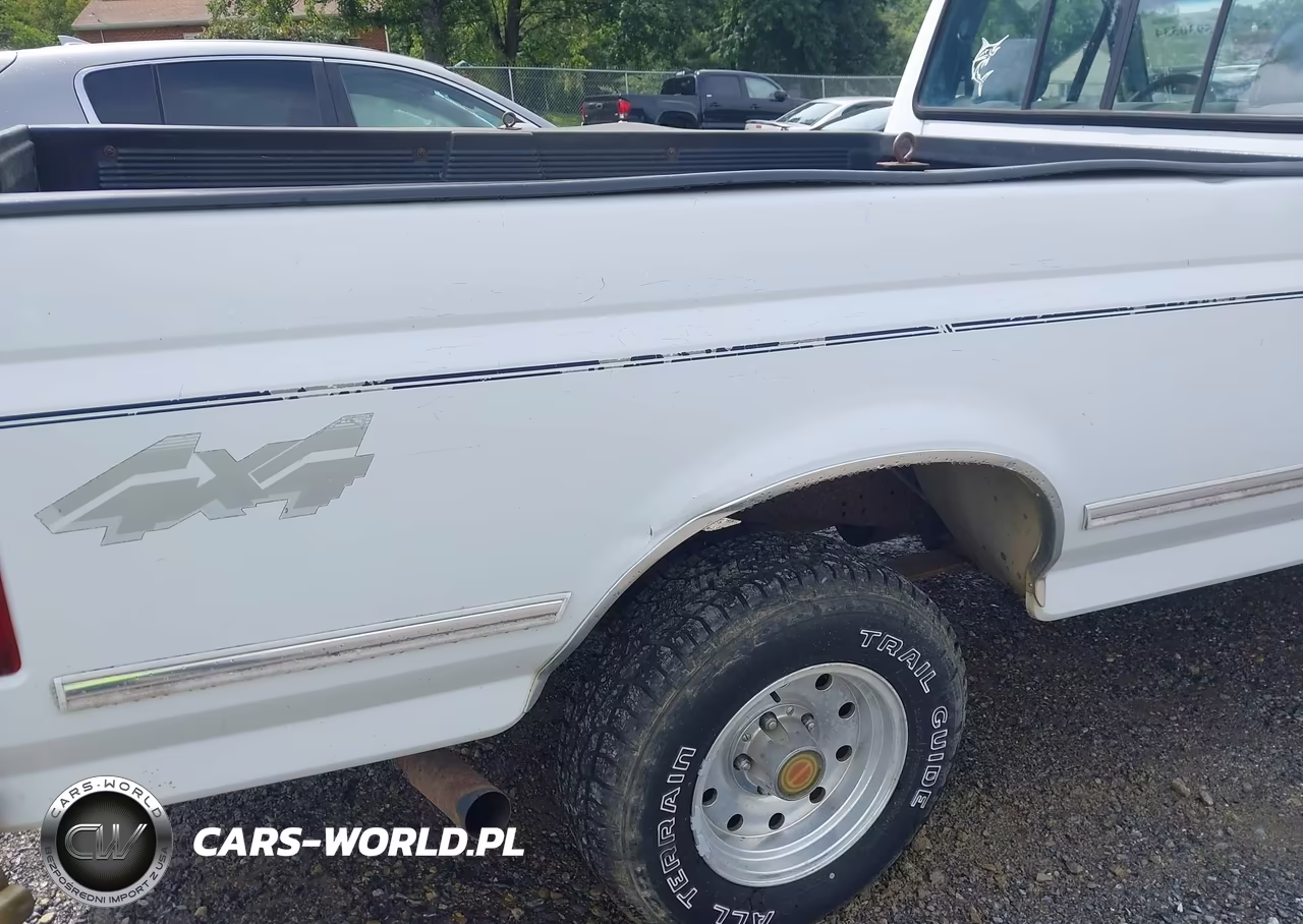 1994 Ford F150 VIN:1FTEF14N3RNA73296 - 13