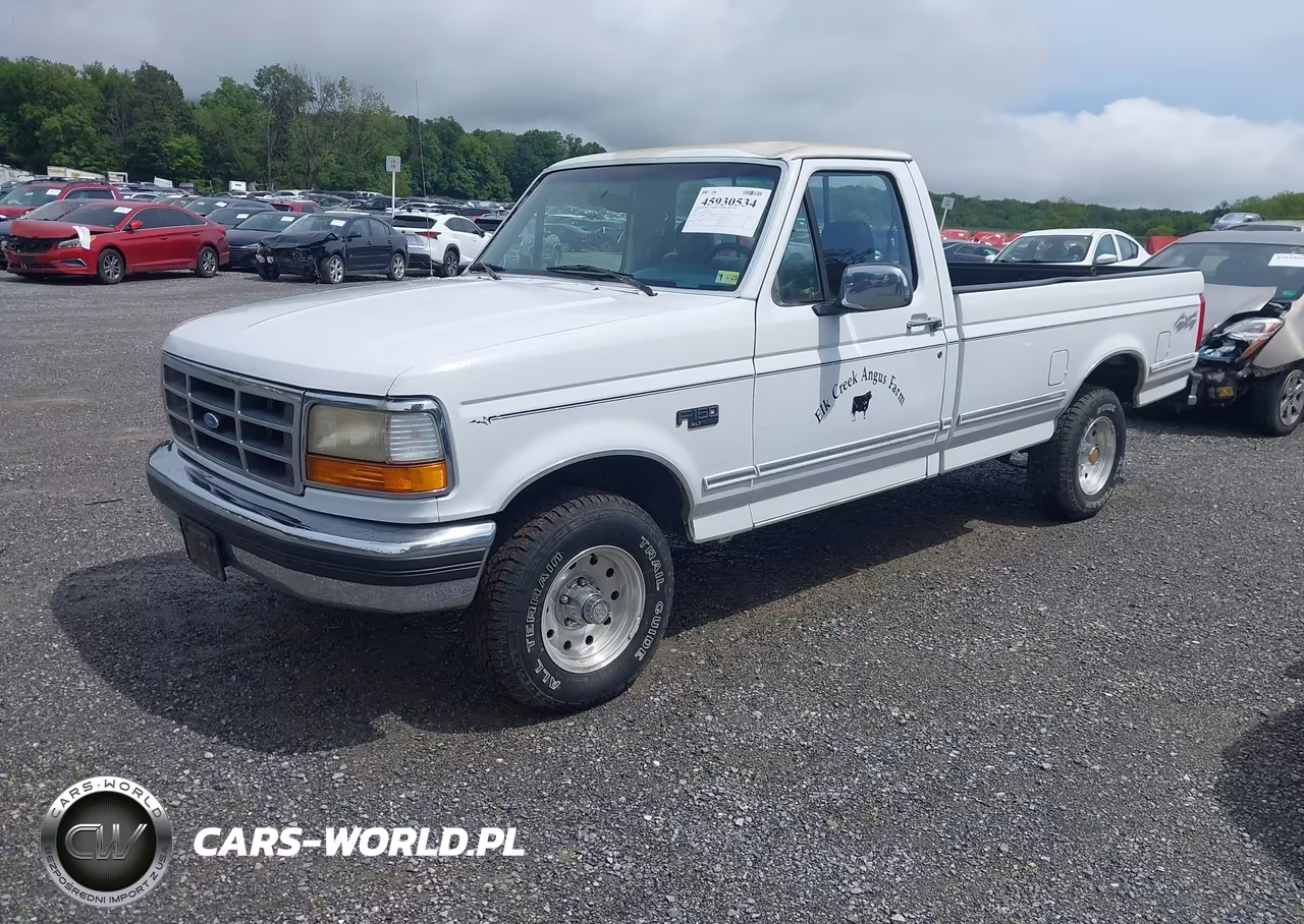 1994 Ford F150 VIN:1FTEF14N3RNA73296 - 2