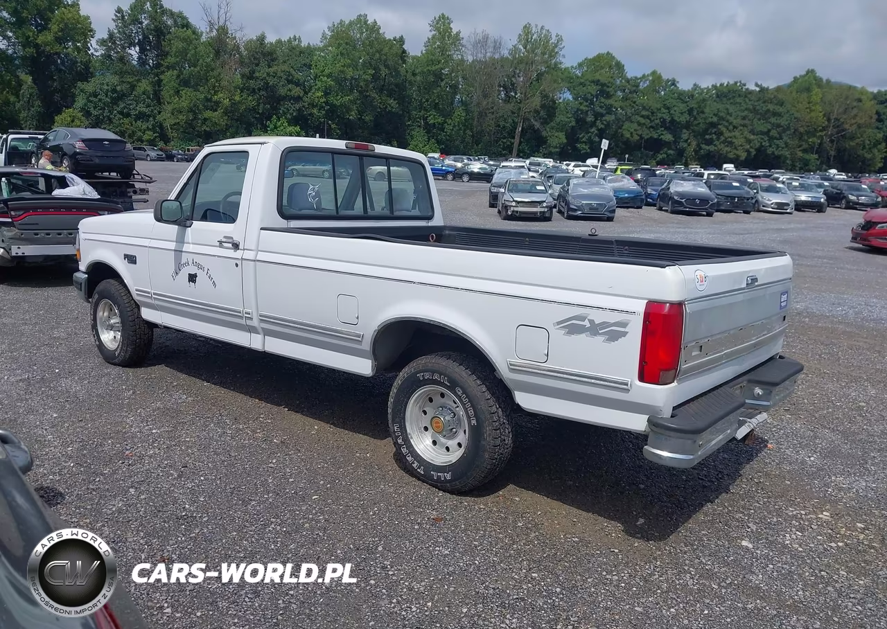 1994 Ford F150 VIN:1FTEF14N3RNA73296 - 3