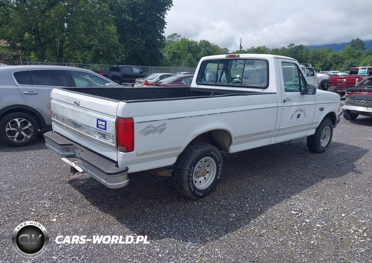 1994 Ford F150 VIN:1FTEF14N3RNA73296 - 4