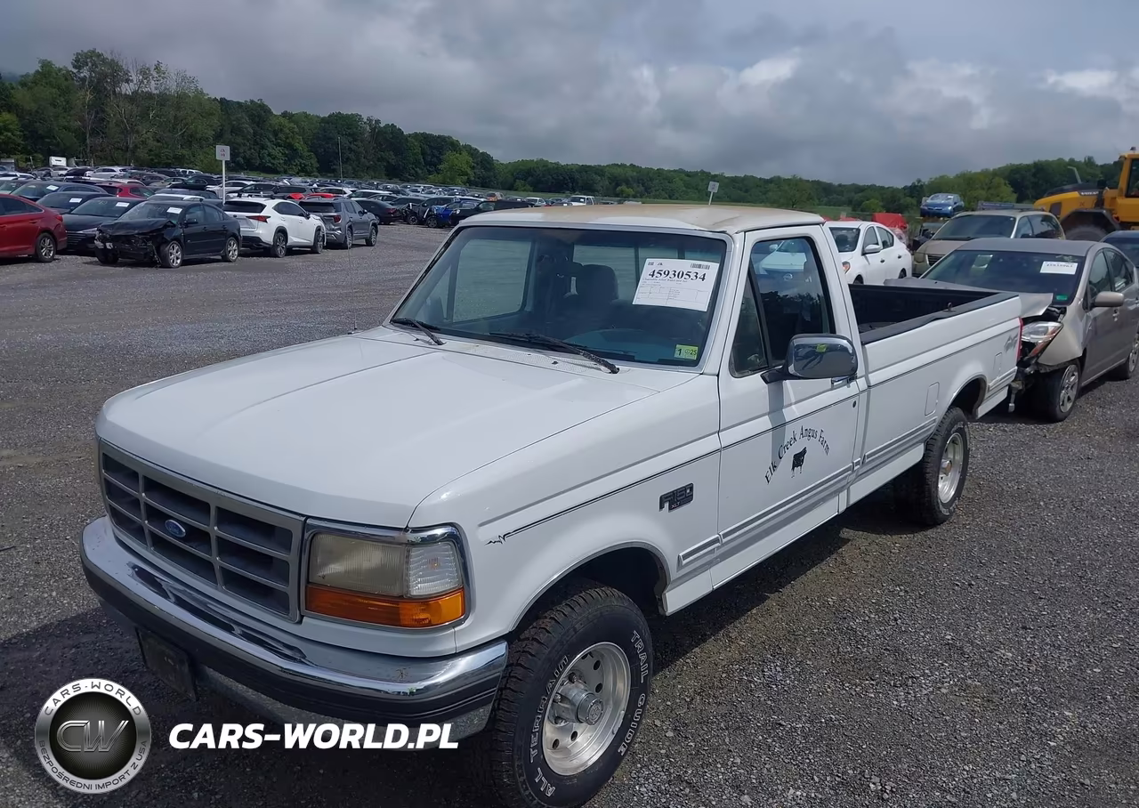 1994 Ford F150 VIN:1FTEF14N3RNA73296 - 6