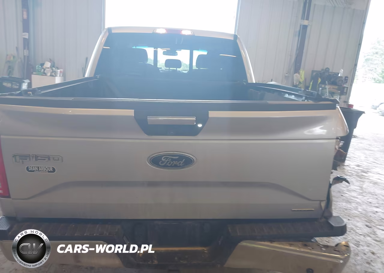 2016 Ford F-150 Xlt VIN:1FTEW1EF5GFC29515 - 16