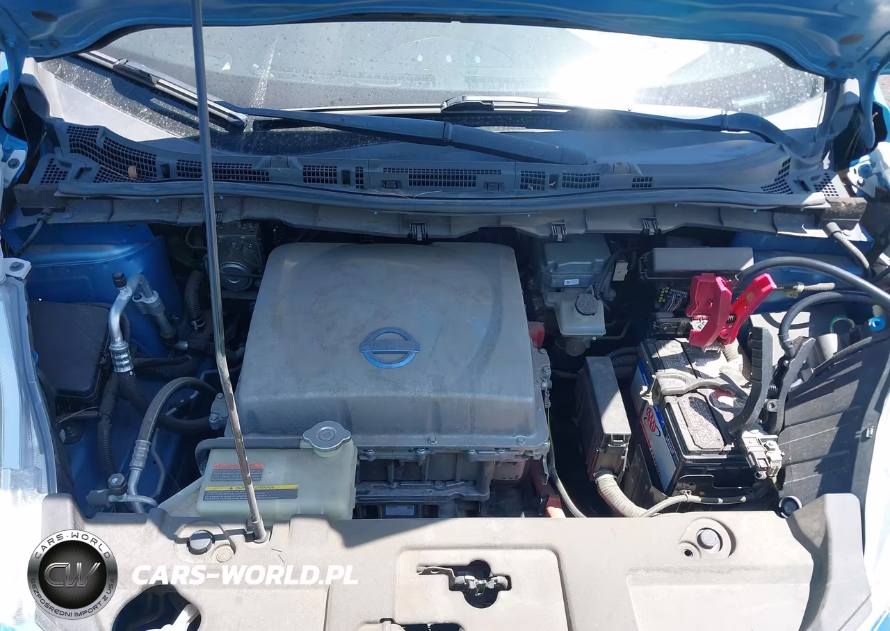 2013 Nissan Leaf S VIN:1N4AZ0CP8DC416441 - 10