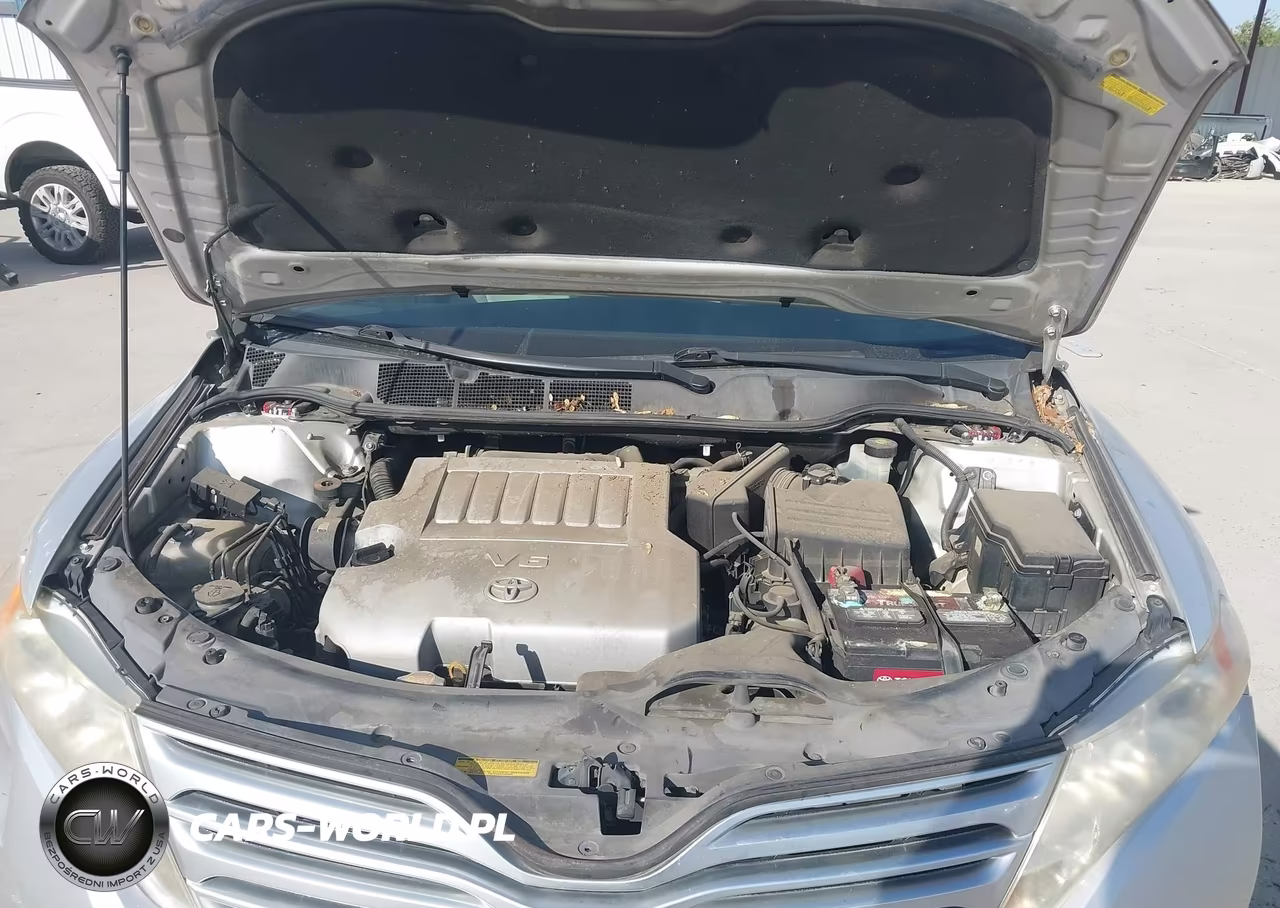 2009 Toyota Venza Base V6 VIN:4T3ZK11A99U014129 - 10