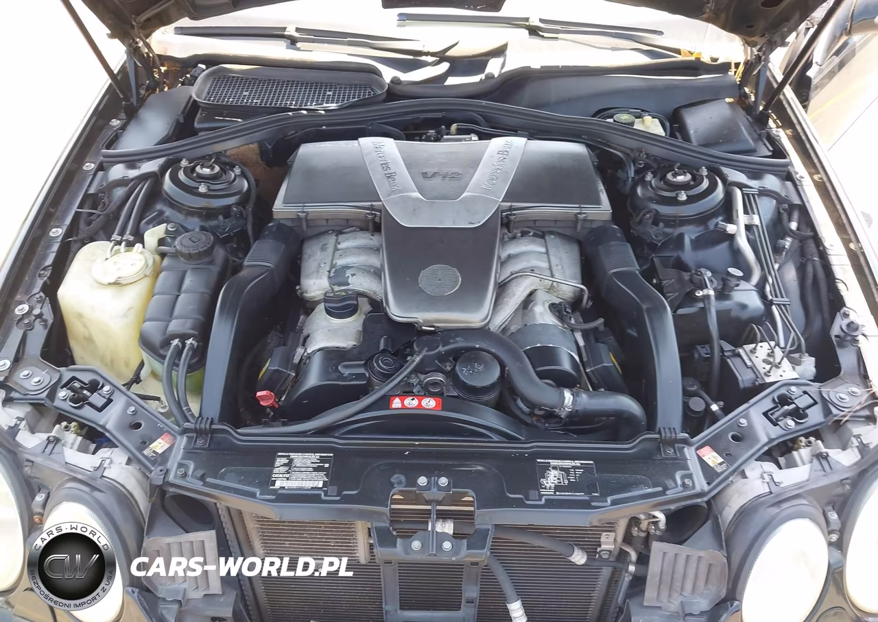 2001 Mercedes-Benz Cl 600 VIN:WDBPJ78J91A015172 - 10
